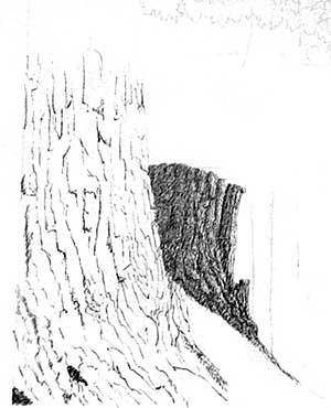 Beginning the tree trunk for 'The Gilbert Home'