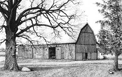 Drawing Trees example - 'Between Two Trees'